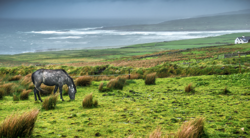 ireland