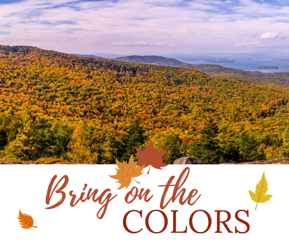 NH Fall Foliage Color Guide
